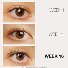 Load image into Gallery viewer, Feg Eyelash Growth Serum Beauty